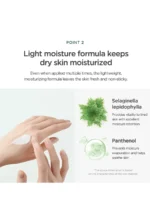 Anua Heartleaf Silky Moisture Sunscreen 50ml - Image 4