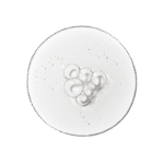 The Ordinary Aloe 2% + NAG 2% Solution 30ml - Image 2