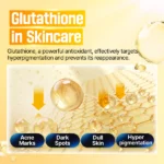 numbuzin No.5 Vitamin Concentrated Serum - Image 4